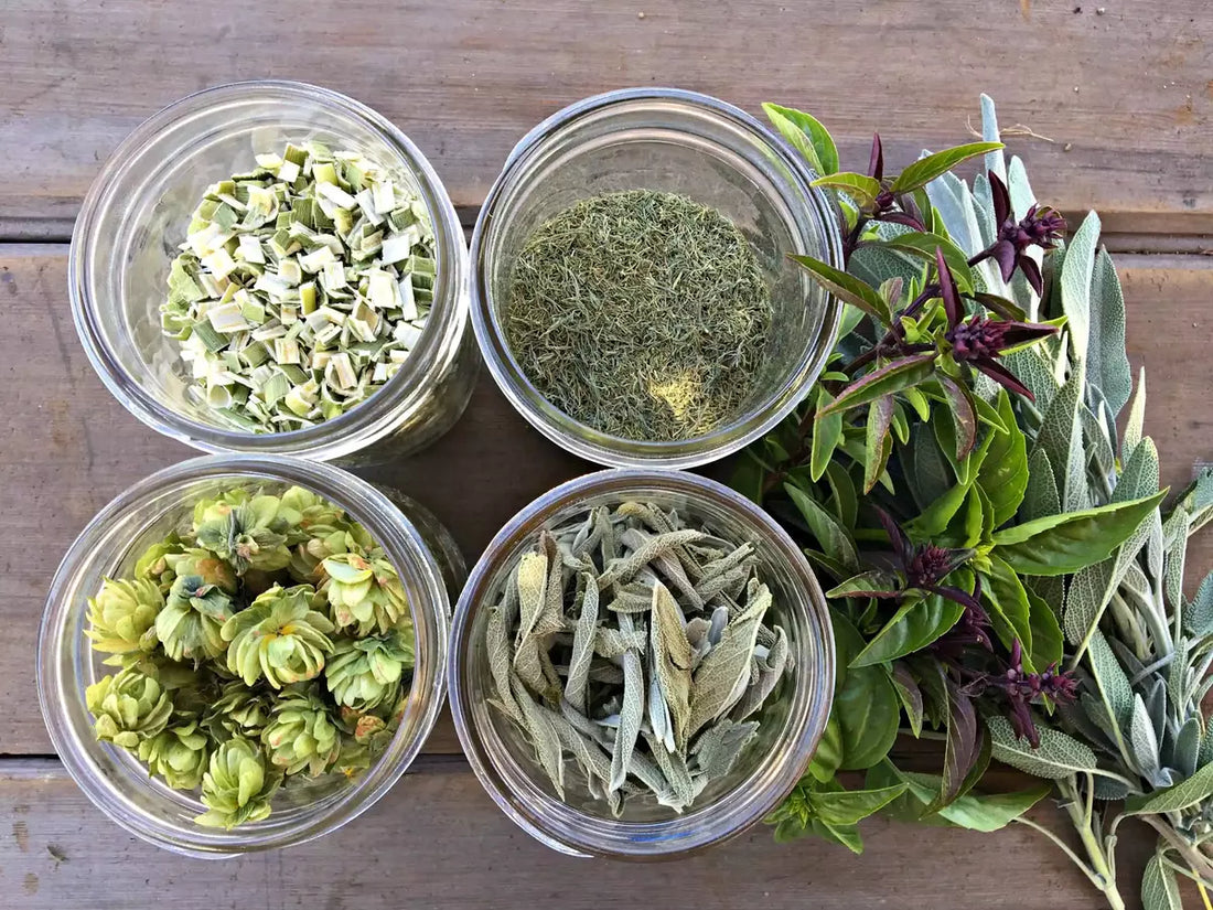 Preserving Herbs: Aromatic Flavors All Year Round